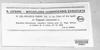 Meliola tersa image